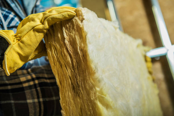 Best Insulation Replacement Services  in Prceton, IN