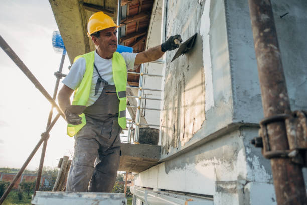Best Insulation Removal  in Prceton, IN