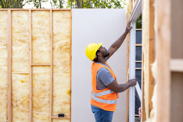 Best Local Insulation Services  in Prceton, IN