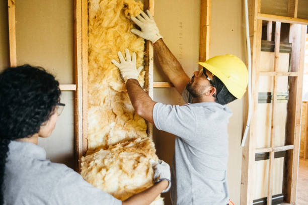 Best Affordable Insulation Services  in Prceton, IN