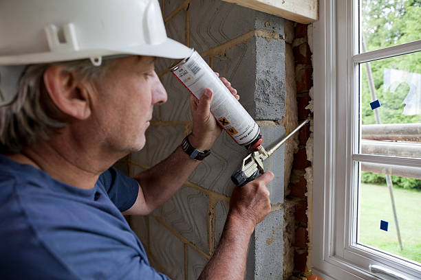 Best Wall Insulation Contractor  in Prceton, IN