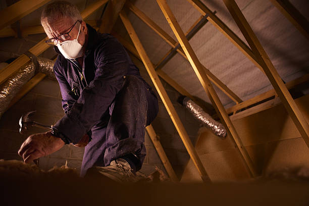 Best Crawl Space Insulation  in Prceton, IN