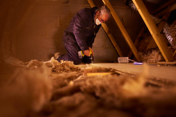 Best Insulation Inspection Services  in Prceton, IN